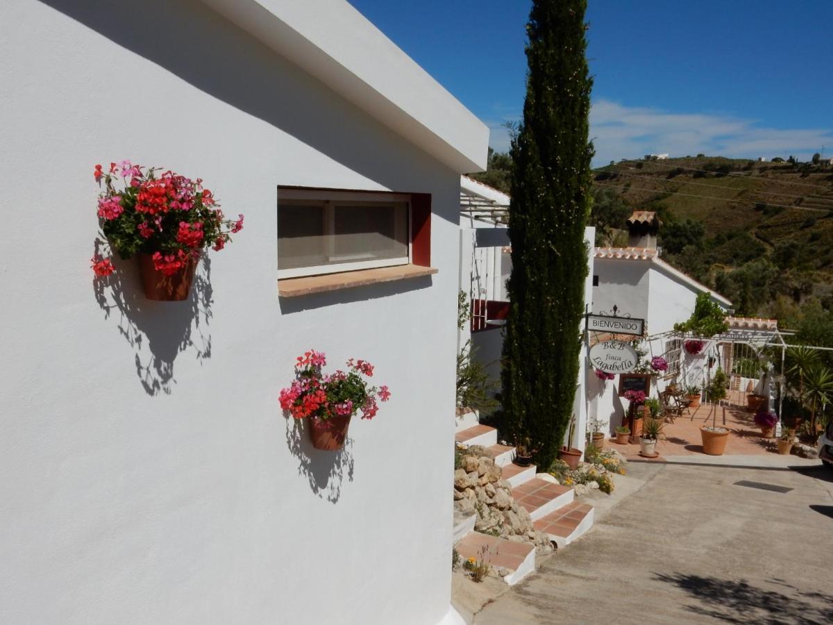 Bed & Breakfast Lagabella Sedella