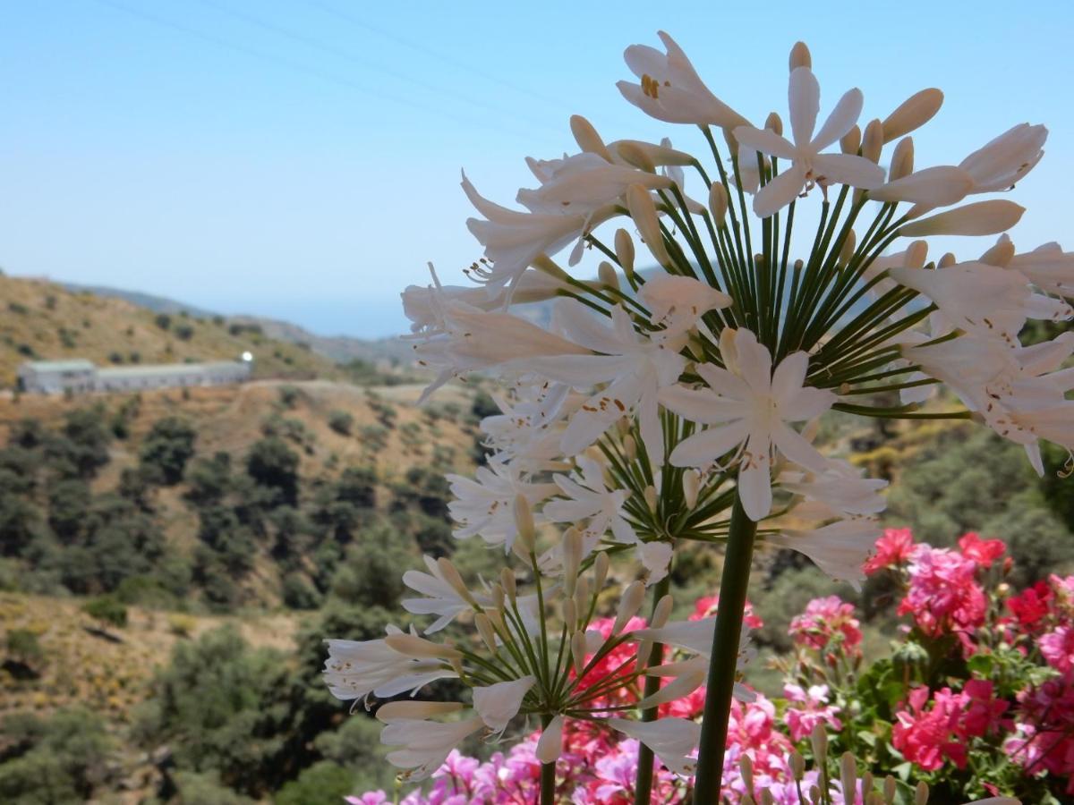 Bed & Breakfast Lagabella *