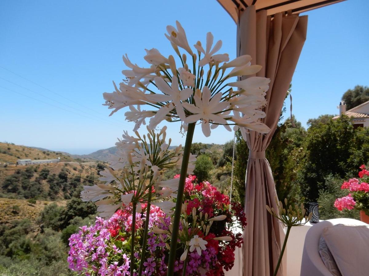 Bed & Breakfast Lagabella Sedella